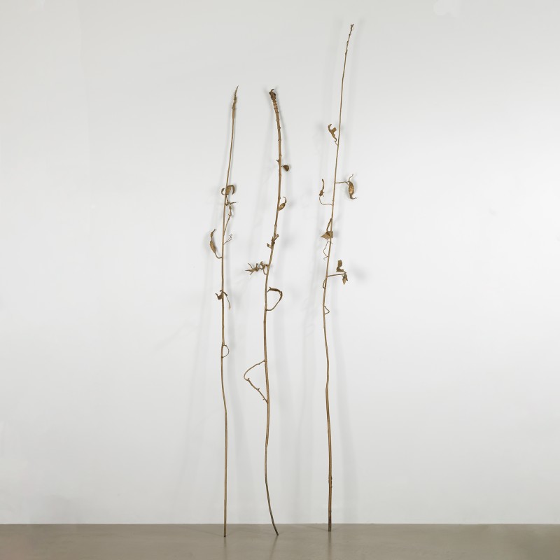 <a href=https://www.galeriegosserez.com/gosserez/artistes/vettier-aurece.html>Aurèce Vettier</a> - bitter hemp